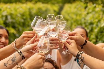 Vivre une expérience au Domaine Trichon