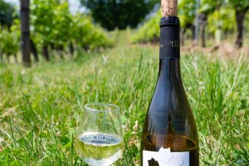 Visite Domaine Trichon